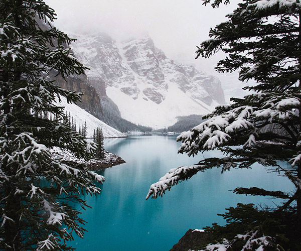Fine Art Print Showcase